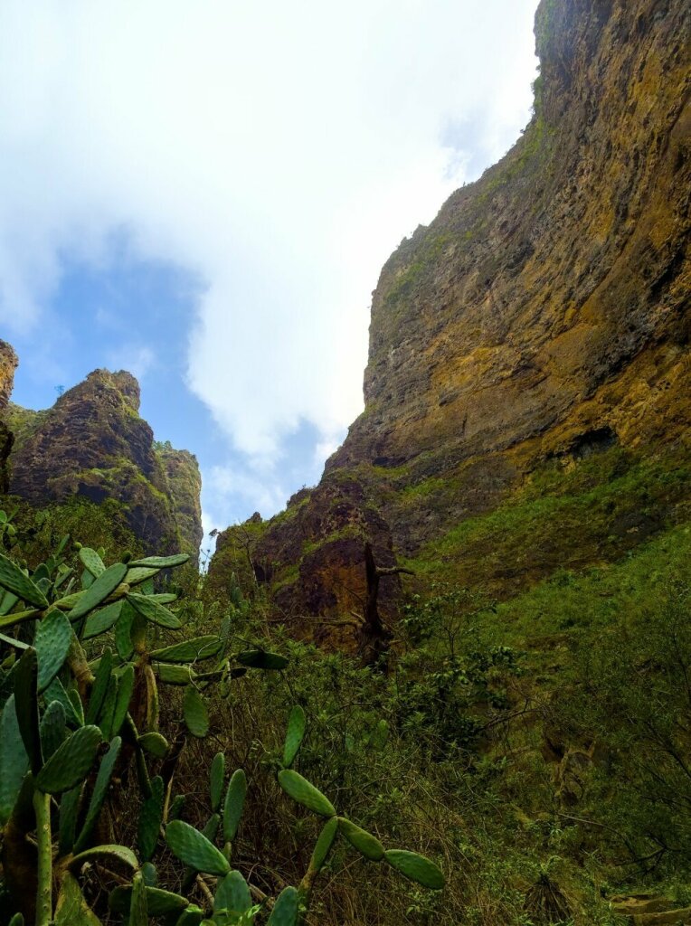 View from the barranco del infienro gorge towards the sky on tenerife, cactus in the bottom left corner, huge rocky volcanic wall in the right half half of the picture