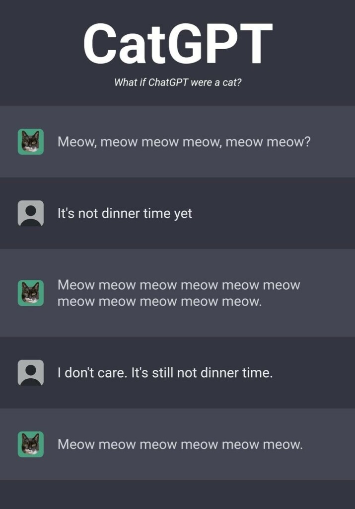 CatGPT, an AI program that meows in response to anything you say.